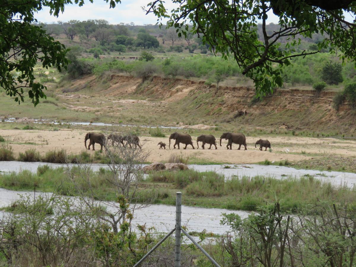 Kruger View Tree House Villa Marloth Park Dış mekan fotoğraf