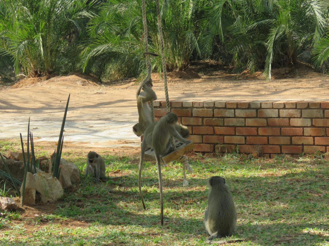 Kruger View Tree House Villa Marloth Park Dış mekan fotoğraf